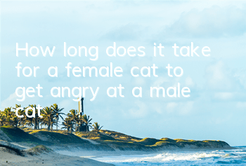 How long does it take for a female cat to get angry at a male cat?