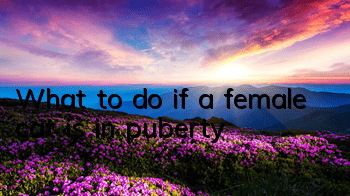What to do if a female cat is in puberty?