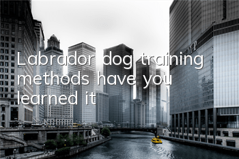 TLabrador dog training methods, have you learned it?
