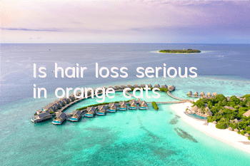 Is hair loss serious in orange cats?