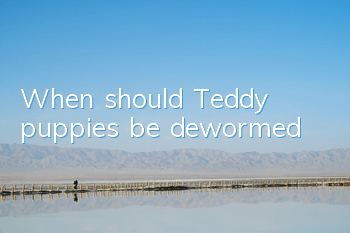 When should Teddy puppies be dewormed?