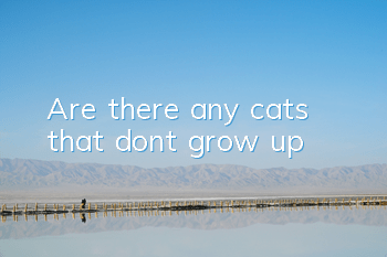 Are there any cats that don’t grow up?