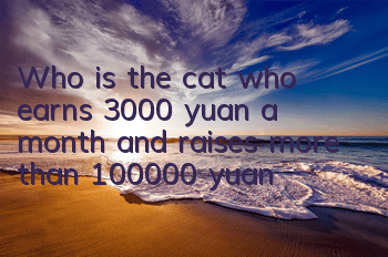 Who is the cat who earns 3,000 yuan a month and raises more than 100,000 yuan?