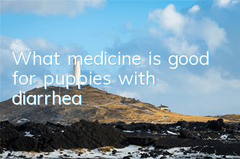 What medicine is good for puppies with diarrhea?