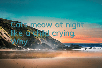 Cats meow at night like a child crying. Why?
