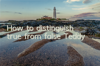 How to distinguish true from false Teddy