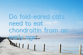 Do fold-eared cats need to eat chondroitin from an early age?