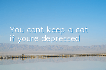 You can’t keep a cat if you’re depressed