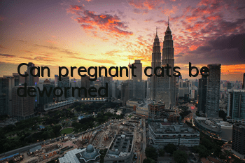 Can pregnant cats be dewormed?