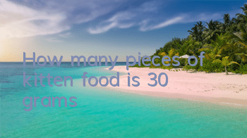 How many pieces of kitten food is 30 grams?
