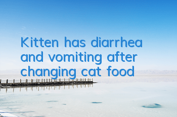 Kitten has diarrhea and vomiting after changing cat food