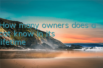 How many owners does a cat know in its lifetime?