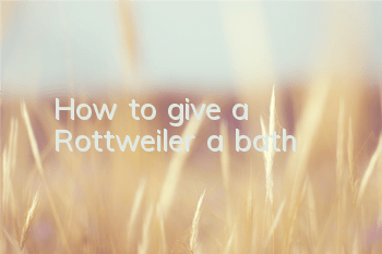 How to give a Rottweiler a bath