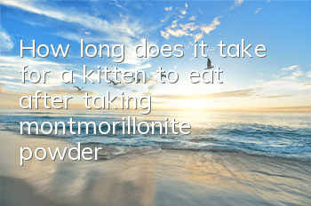 How long does it take for a kitten to eat after taking montmorillonite powder?