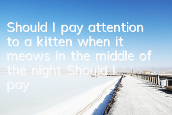 Should I pay attention to a kitten when it meows in the middle of the night? Should I pay attention to a kitten when it meows in the middle of the night?