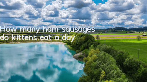How many ham sausages do kittens eat a day?