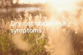 Dry cat abdominal symptoms