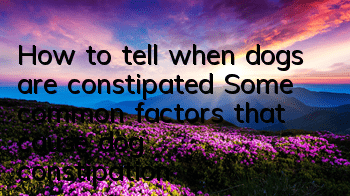 THow to tell when dogs are constipated? Some common factors that cause dog constipation!