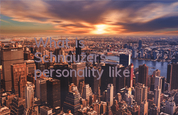 What is Schnauzer's personality like?