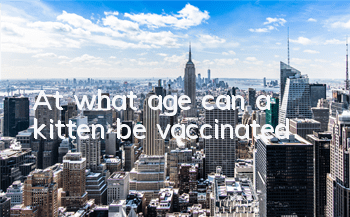 At what age can a kitten be vaccinated?