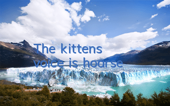 The kitten's voice is hoarse