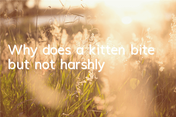 Why does a kitten bite but not harshly?