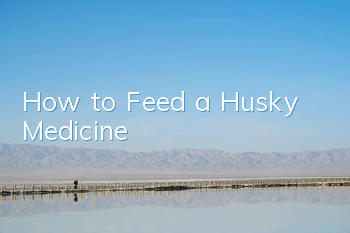 How to Feed a Husky Medicine