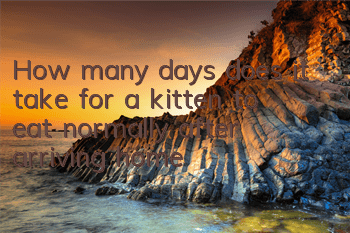 How many days does it take for a kitten to eat normally after arriving home?