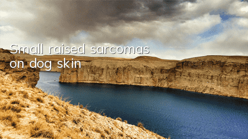 TSmall raised sarcomas on dog skin