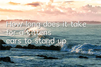 How long does it take for a kitten's ears to stand up?