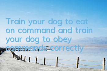 Train your dog to eat on command and train your dog to obey commands correctly!