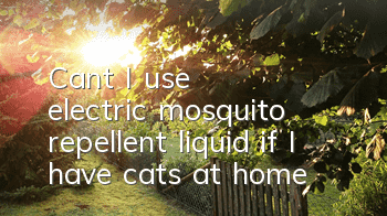 Can't I use electric mosquito repellent liquid if I have cats at home?