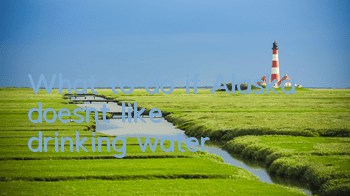 What to do if Alaska doesn’t like drinking water