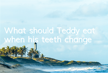 What should Teddy eat when his teeth change?