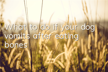 TWhat to do if your dog vomits after eating bones