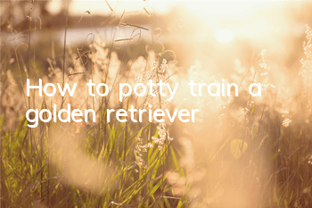 How to potty train a golden retriever