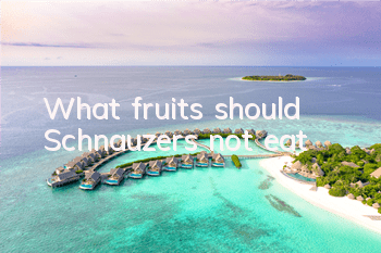 What fruits should Schnauzers not eat?