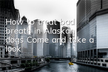 How to treat bad breath in Alaskan dogs? Come and take a look!
