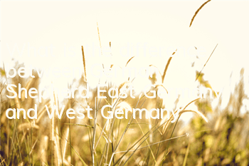 What is the difference between German Shepherd East Germany and West Germany?