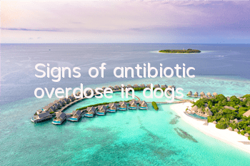 TSigns of antibiotic overdose in dogs