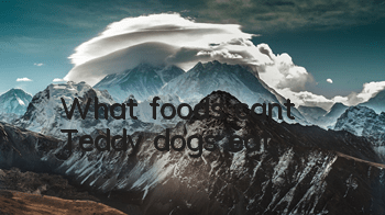 What foods can’t Teddy dogs eat?