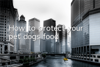 How to protect your pet dog’s food