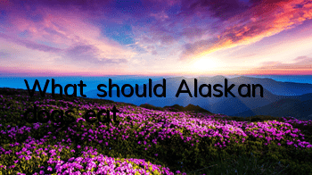 What should Alaskan dogs eat?
