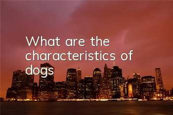 What are the characteristics of dogs?