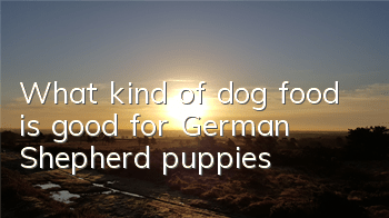 What kind of dog food is good for German Shepherd puppies?