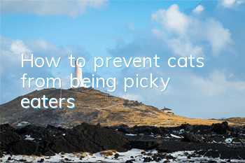 THow to prevent cats from being picky eaters