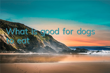 What is good for dogs to eat?