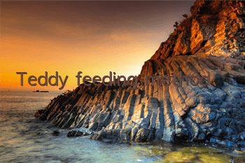 Teddy feeding method