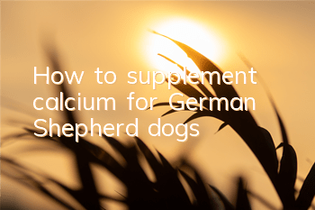How to supplement calcium for German Shepherd dogs