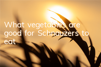What vegetables are good for Schnauzers to eat?